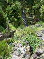 Madeira0905.JPG